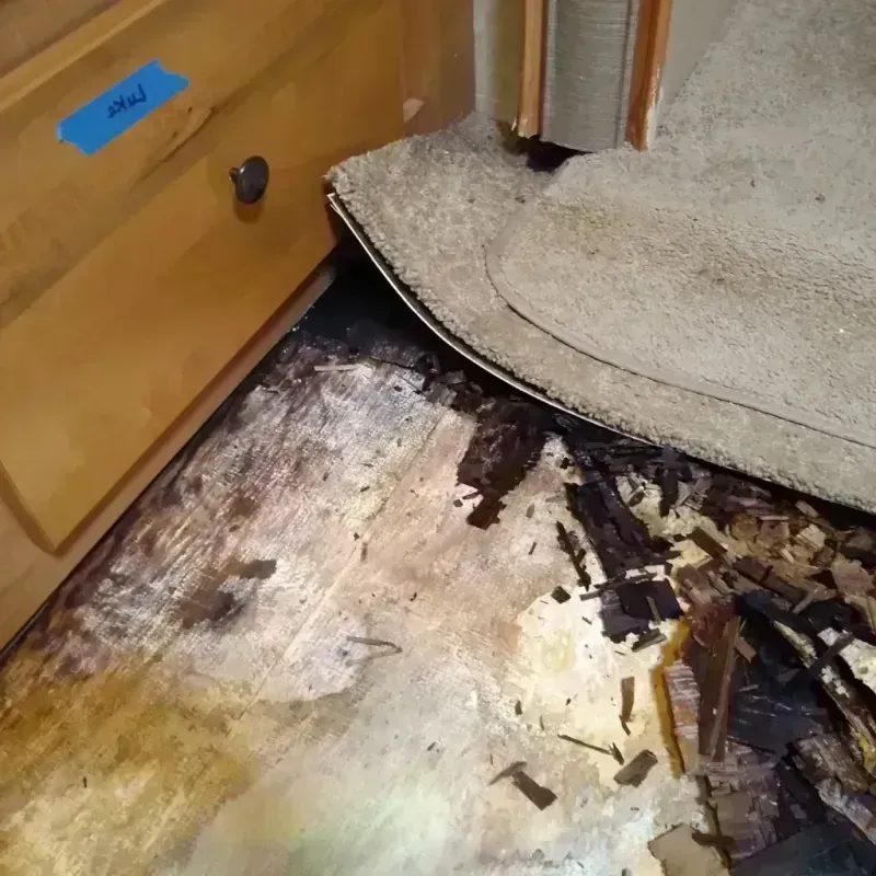 Wood Floor Water Damage in Hiawatha, IA